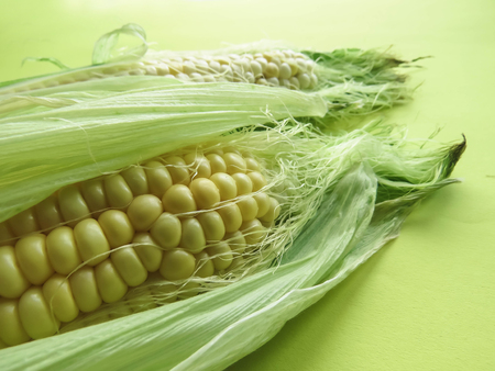 ripe natural corn cobs. healthy eating. eco-friendly products. Organic Food. Style Top View Group Objects.の写真素材