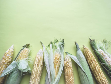 ripe natural corn cobs. healthy eating. eco-friendly products. Organic Food. Style Top View Group Objects. copy spaseの写真素材