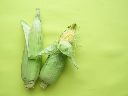 ripe natural corn cobs. healthy eating. eco-friendly products. Organic Food. Style Top View Group Objects. copy spaseの写真素材