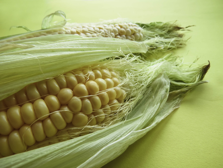ripe natural corn cobs. healthy eating. eco-friendly products. Organic Food. Style Top View Group Objects.の写真素材