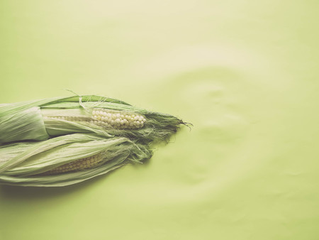 ripe natural corn cobs. healthy eating. eco-friendly products. Organic Food. Style Top View Group Objects. copy spaseの写真素材