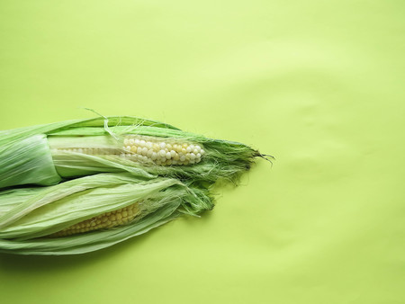 ripe natural corn cobs. healthy eating. eco-friendly products. Organic Food. Style Top View Group Objects. copy spaseの写真素材