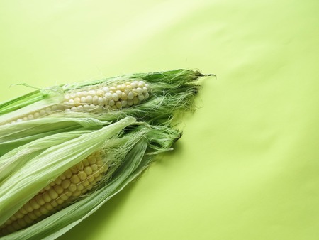 ripe natural corn cobs. healthy eating. eco-friendly products. Organic Food. Style Top View Group Objects. copy spaseの写真素材