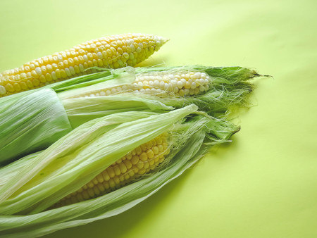 ripe natural corn cobs. healthy eating. eco-friendly products. Organic Food. Style Top View Group Objects.の写真素材
