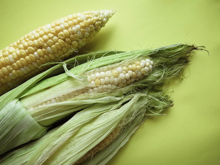 ripe natural corn cobs. healthy eating. eco-friendly products. Organic Food. Style Top View Group Objects.の写真素材