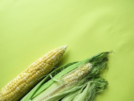ripe natural corn cobs. healthy eating. eco-friendly products. Organic Food. Style Top View Group Objects. copy spaseの写真素材