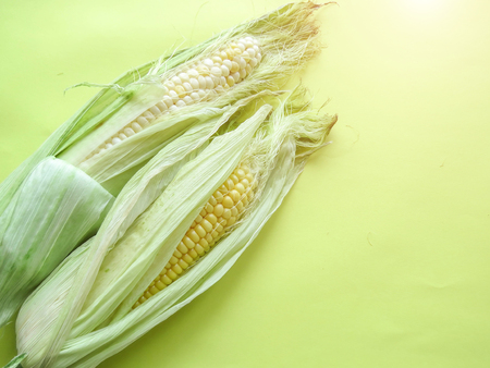 ripe natural corn cobs. healthy eating. eco-friendly products. Organic Food. Style Top View Group Objects. copy spaseの写真素材