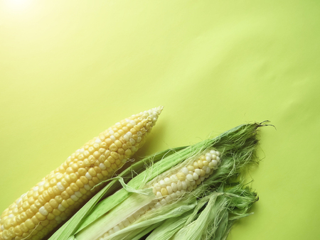 ripe natural corn cobs. healthy eating. eco-friendly products. Organic Food. Style Top View Group Objects. copy spaseの写真素材