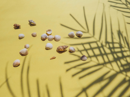 Holiday, vacation tropical beach from above - palm tree leaves. seashells. Style Top View Group Objectsの写真素材