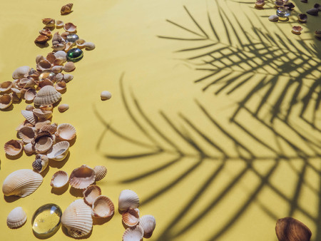 Holiday, vacation tropical beach from above - palm tree leaves. seashells. Style Top View Group Objectsの写真素材