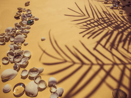 Holiday, vacation tropical beach from above - palm tree leaves. seashells. Style Top View Group Objectsの写真素材