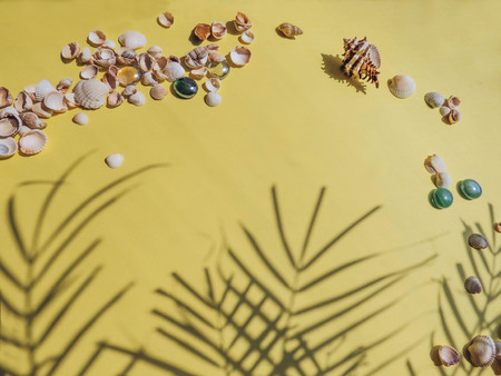 Holiday, vacation tropical beach from above - palm tree leaves. seashells. Style Top View Group Objectsの写真素材
