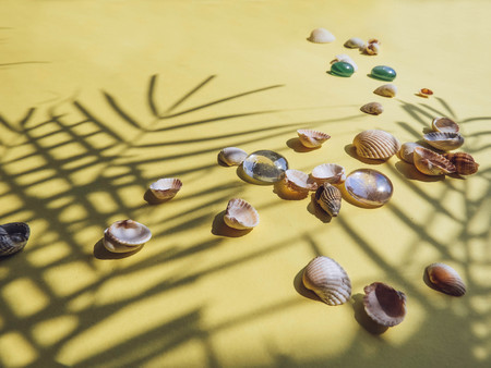 Holiday, vacation tropical beach from above - palm tree leaves. seashells. Style Top View Group Objectsの写真素材