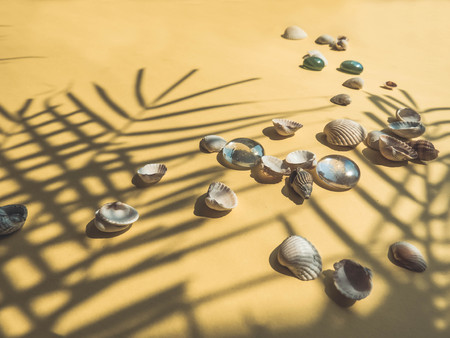 Holiday, vacation tropical beach from above - palm tree leaves. seashells. Style Top View Group Objectsの写真素材
