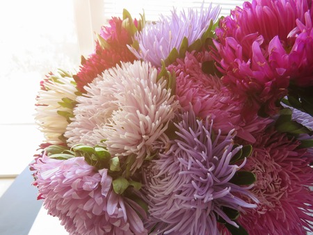 Bouquet of colored asters. Autumn flowers. Blurred background. Asterの写真素材