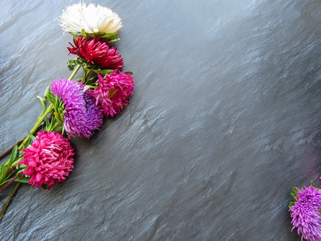 Colorful aster flowers forming a frame on a dark background, minimal concept, top view, copy space for your text Group Objectsの写真素材