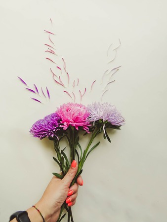 Colorful aster flowers forming a frame on a background, minimal concept, top view, copy space for...
