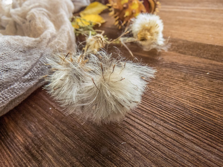 Ripe chestnuts on old wooden table close up with copy space. autumn background copy space. group of objects. Style Top Viewの写真素材