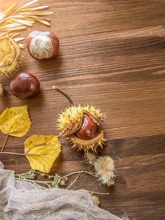 Ripe chestnuts on old wooden table close up with copy space. autumn background copy space. group of objects. Style Top Viewの写真素材