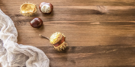 Ripe chestnuts on old wooden table close up with copy space. autumn background copy space. group of objects. Style Top Viewの写真素材