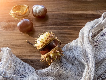 Ripe chestnuts on old wooden table close up with copy space. autumn background copy space. group of objects. Style Top Viewの写真素材