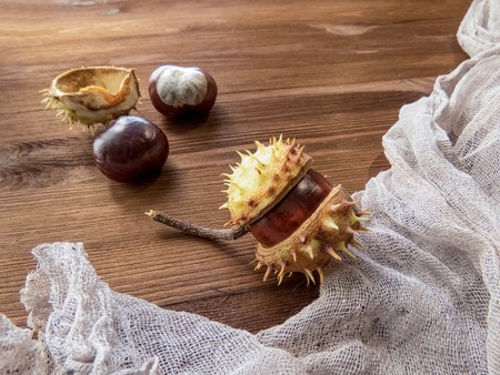 Ripe chestnuts on old wooden table close up with copy space. autumn background copy space. group of...