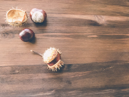 Ripe chestnuts on old wooden table close up with copy space. autumn background copy space. group of objects. Style Top Viewの写真素材