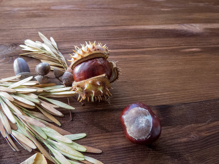 Ripe chestnuts on old wooden table close up with copy space. autumn background copy space. group of objects. Style Top Viewの写真素材