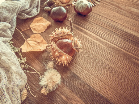 Ripe chestnuts on old wooden table close up with copy space. autumn background copy space. group of objects. Style Top Viewの写真素材