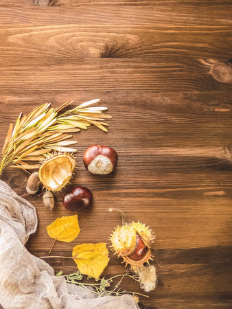 Ripe chestnuts on old wooden table close up with copy space. autumn background copy space. group of objects. Style Top Viewの写真素材