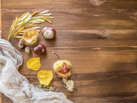 Ripe chestnuts on old wooden table close up with copy space. autumn background copy space. group of objects. Style Top Viewの写真素材
