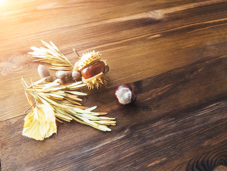 Ripe chestnuts on old wooden table close up with copy space. autumn background copy space. group of objects. Style Top Viewの写真素材