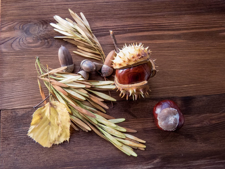 Ripe chestnuts on old wooden table close up with copy space. autumn background copy space. group of objects. Style Top Viewの写真素材