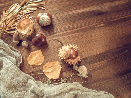 Ripe chestnuts on old wooden table close up with copy space. autumn background copy space. group of objects. Style Top Viewの写真素材