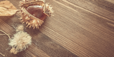 Ripe chestnuts on old wooden table close up with copy space. autumn background copy space. group of objects. Style Top Viewの写真素材