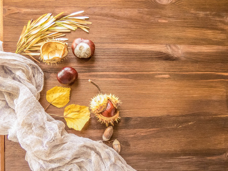 Ripe chestnuts on old wooden table close up with copy space. autumn background copy space. group of objects. Style Top Viewの写真素材