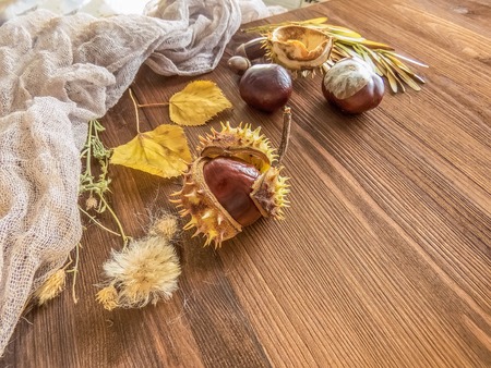 Ripe chestnuts on old wooden table close up with copy space. autumn background copy space. group of objects. Style Top Viewの写真素材