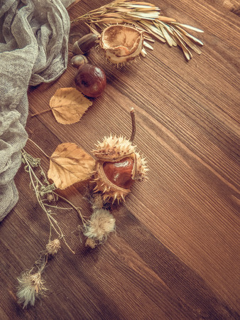 Ripe chestnuts on old wooden table close up with copy space. autumn background copy space. group of objects. Style Top Viewの写真素材