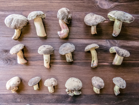 Background of wood and freshly picked Polish mushrooms Top view of mushrooms on wooden backgroundの写真素材