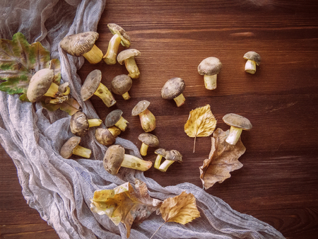 Background of wood and freshly picked Polish mushrooms Top view of mushrooms on wooden backgroundの写真素材