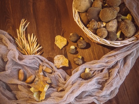Background of wood and freshly picked Polish mushrooms Top view of mushrooms on wooden background Basket with autumn mushrooms.の写真素材
