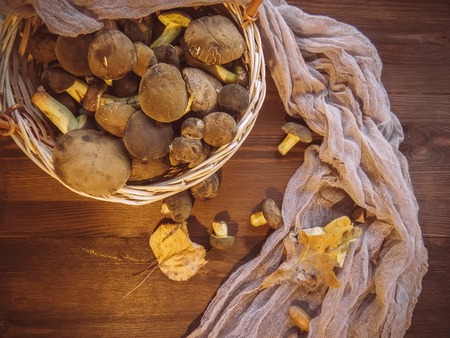 Background of wood and freshly picked Polish mushrooms Top view of mushrooms on wooden background Basket with autumn mushrooms.の写真素材