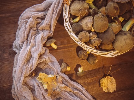 Background of wood and freshly picked Polish mushrooms Top view of mushrooms on wooden background Basket with autumn mushrooms. Preparation of tasty organic mushrooms. Gourmet cuisineの写真素材