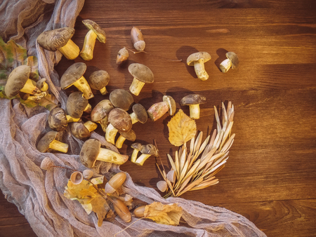 Background of wood and freshly picked Polish mushrooms Top view of mushrooms on wooden background Autumn Mushrooms. Cooking delicious organic mushroom. Gourmet foodの写真素材