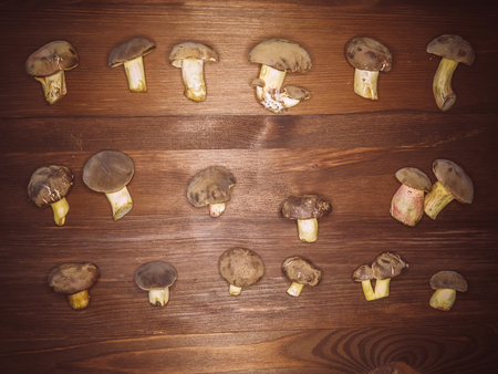 Background of wood and freshly picked Polish mushrooms Top view of mushrooms on wooden background Autumn Mushrooms. Cooking delicious organic mushroom. Gourmet foodの写真素材