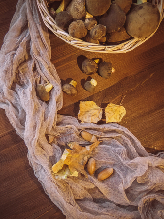 Background of wood and freshly picked Polish mushrooms Top view of mushrooms on wooden background Basket with autumn mushrooms. Preparation of tasty organic mushrooms. Gourmet cuisineの写真素材