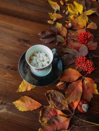 bright red and colorful leaves of wild grapes on the wooden background. autumn season. background texture of leaves of wild grapes. autumn background top view cup with cocoa and marshmallowsの写真素材