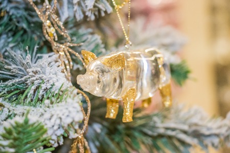 Symbol of the year of the Pig.Christmas decorations-a symbol of the year of the pig .Christmas background with colorful balls and snowflakes.の写真素材