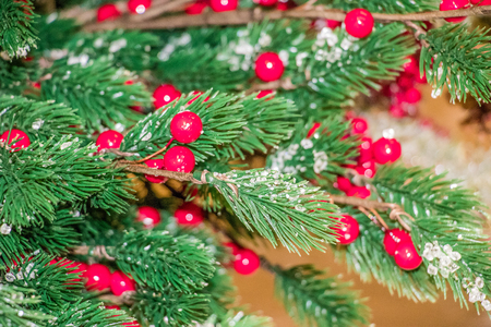 Christmas attributes holly berries on the Christmas-tree branch. group of objectsの写真素材