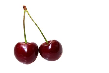 Two sweet cherries, isolated on white backgroundの写真素材